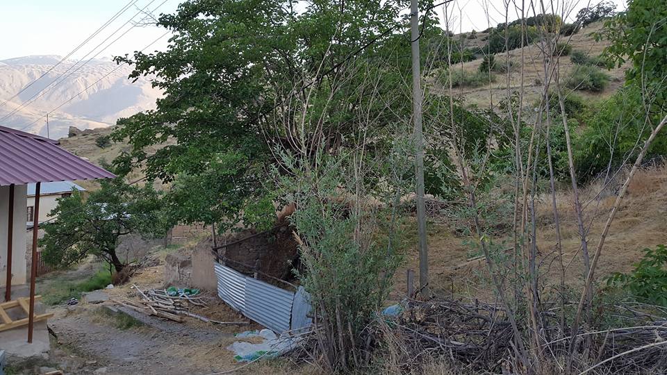 Kemah Koruyolu Köyü Resimleri 14