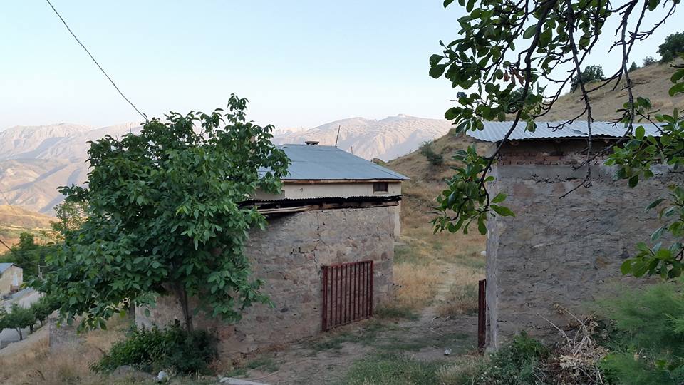 Kemah Koruyolu Köyü Resimleri 15