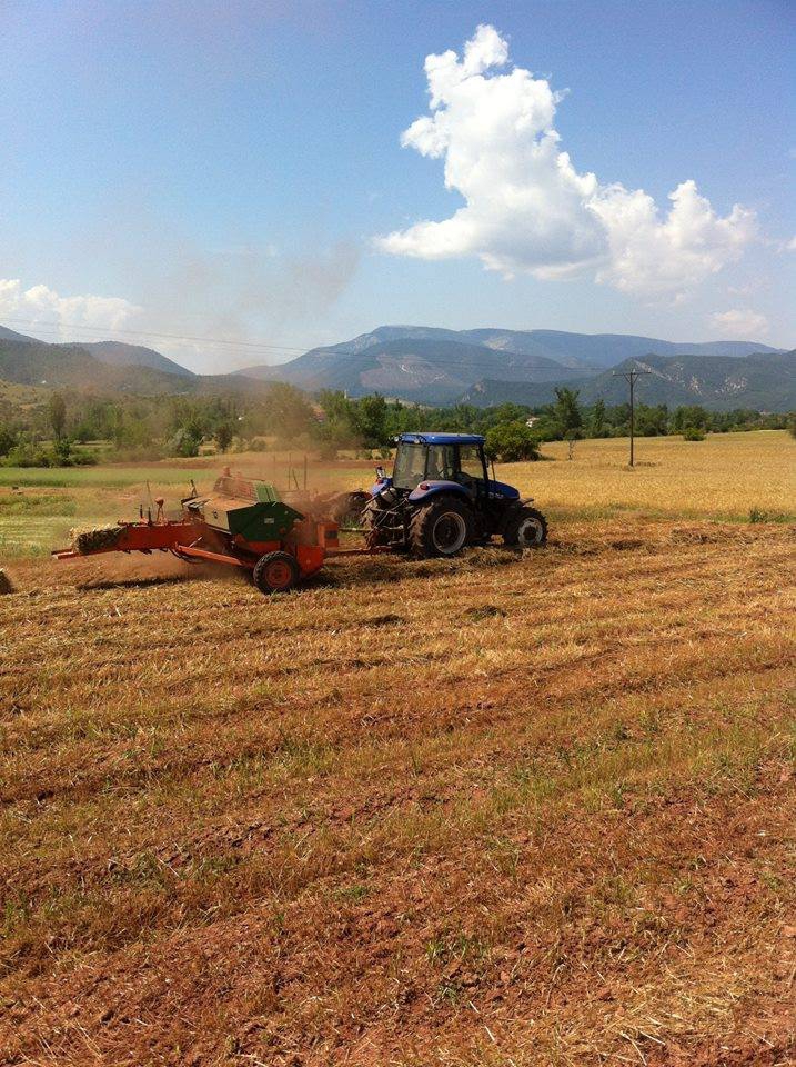 Göynük Ahmetbeyler Köyü Resimleri 12