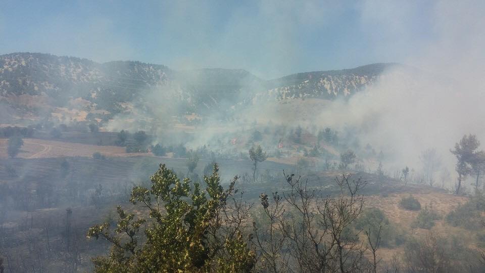 Göynük Ahmetbeyler Köyü Resimleri 3