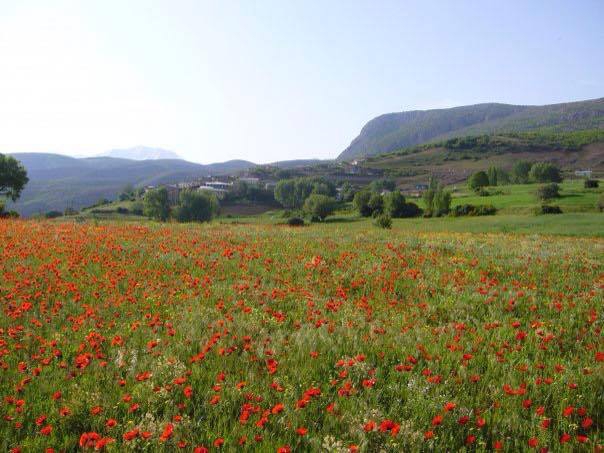 Kemah Maksutuşağı Köyü Resimleri 4