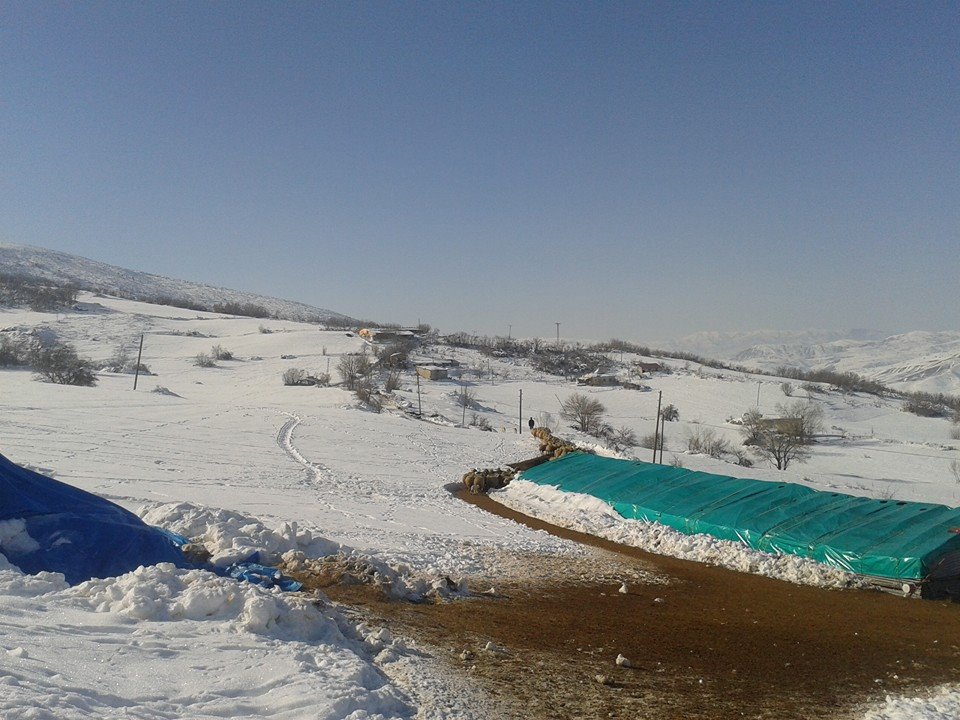 Kemah Maksutuşağı Köyü Resimleri 8