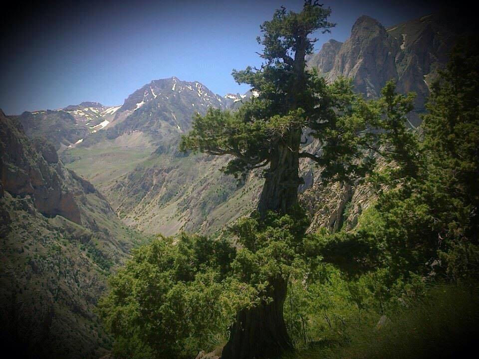 Kemah Maksutuşağı Köyü Resimleri 9