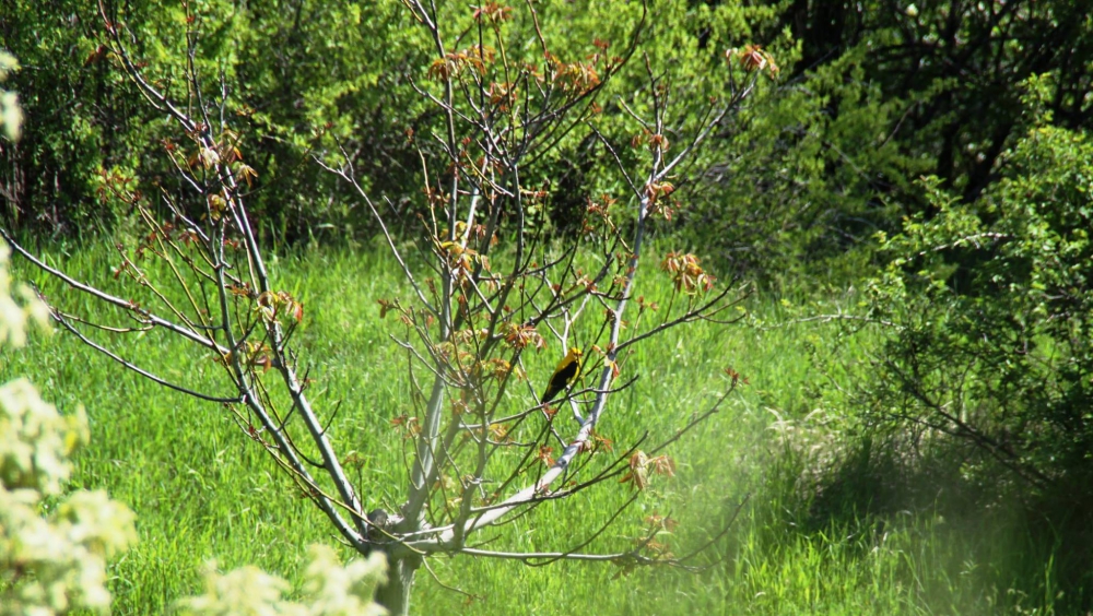 Kemah Mezraa Köyü Resimleri 5