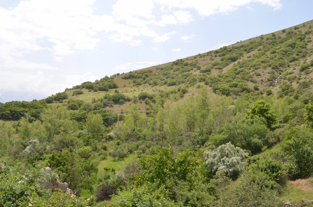 Kemah Mezraa Köyü Resimleri 6