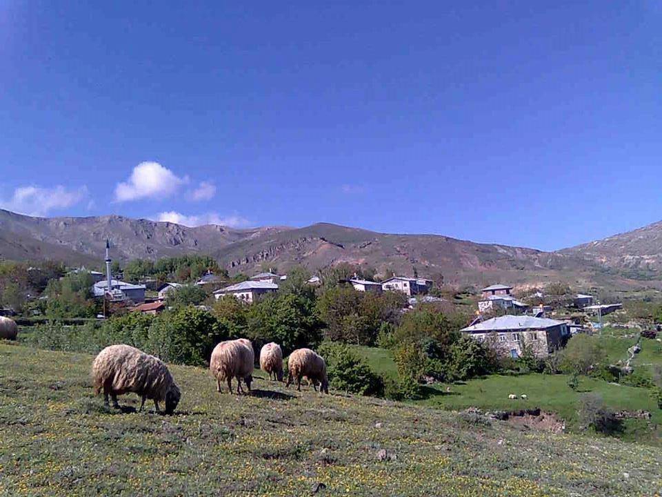 Kemah Oğuzköy Köyü Resimleri 3