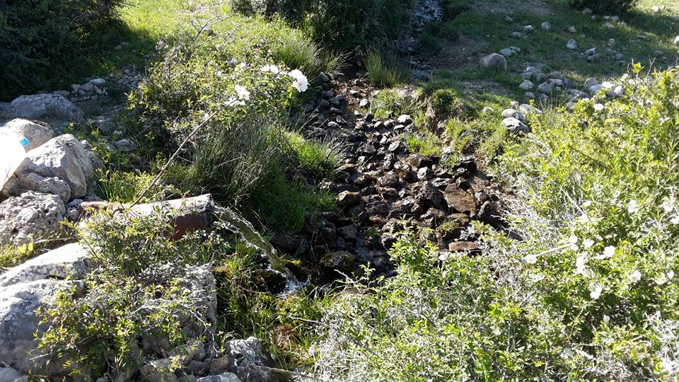 Kemah Oğuzköy Köyü Resimleri 5