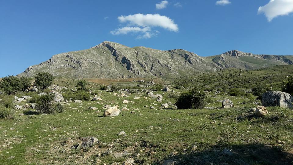 Kemah Oğuzköy Köyü Resimleri 6