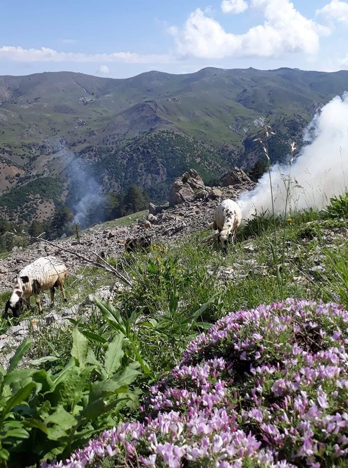 Kemah Oğuzköy Köyü Resimleri 7