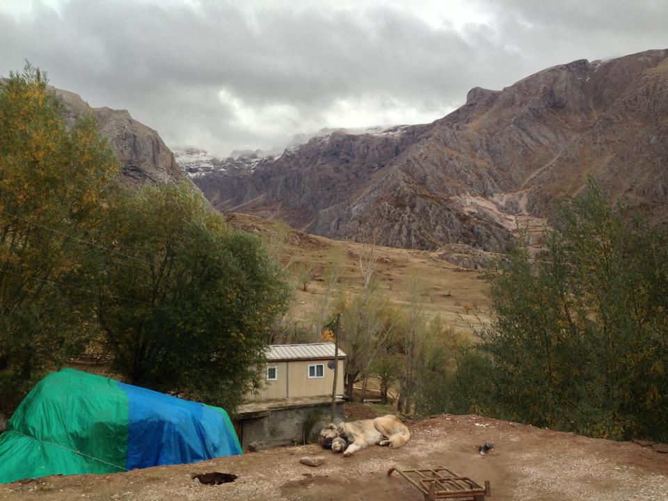 Kemah Sarıyazı Köyü Resimleri 3