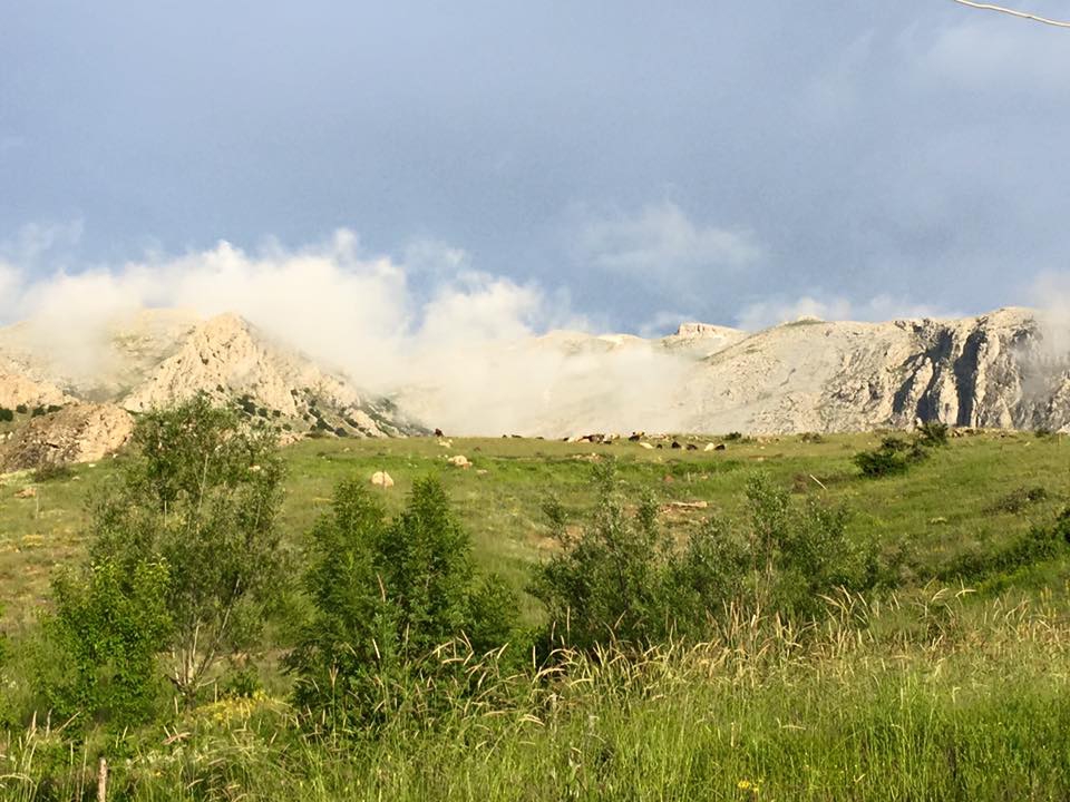 Kemah Sarıyazı Köyü Resimleri 4