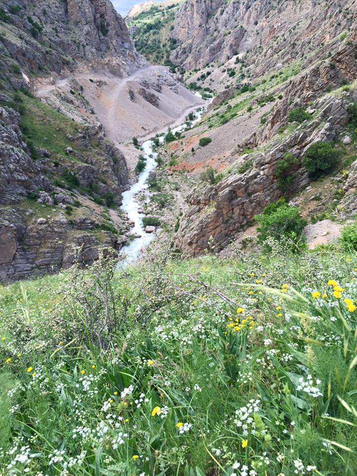 Kemah Sarıyazı Köyü Resimleri 6