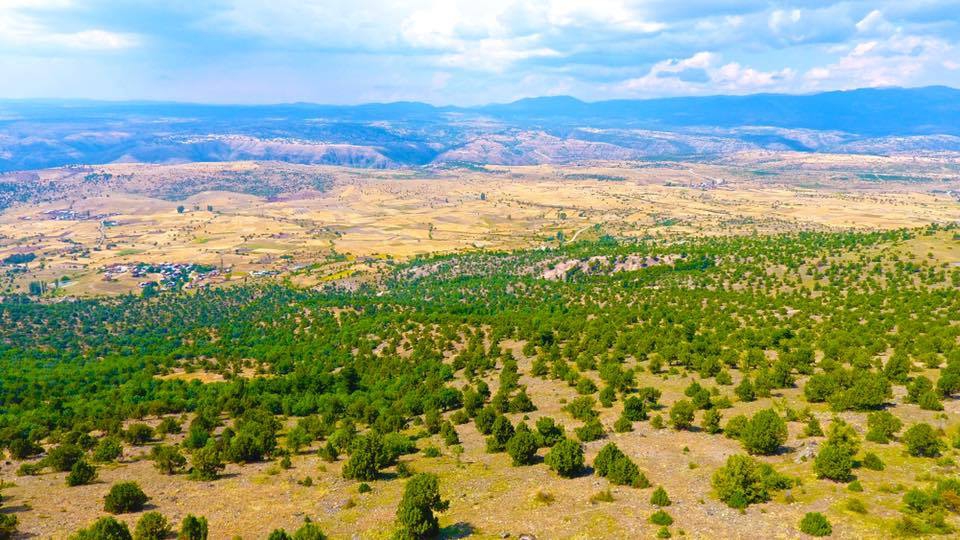 Kıbrıscık Alanhimmetler Köyü Resimleri 6