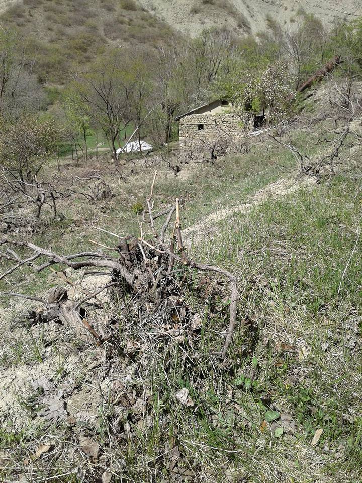 Kemah Sürekköy Köyü Resimleri 1