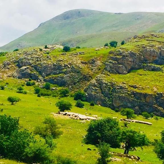 Kemah Şahintepe Köyü Resimleri 11