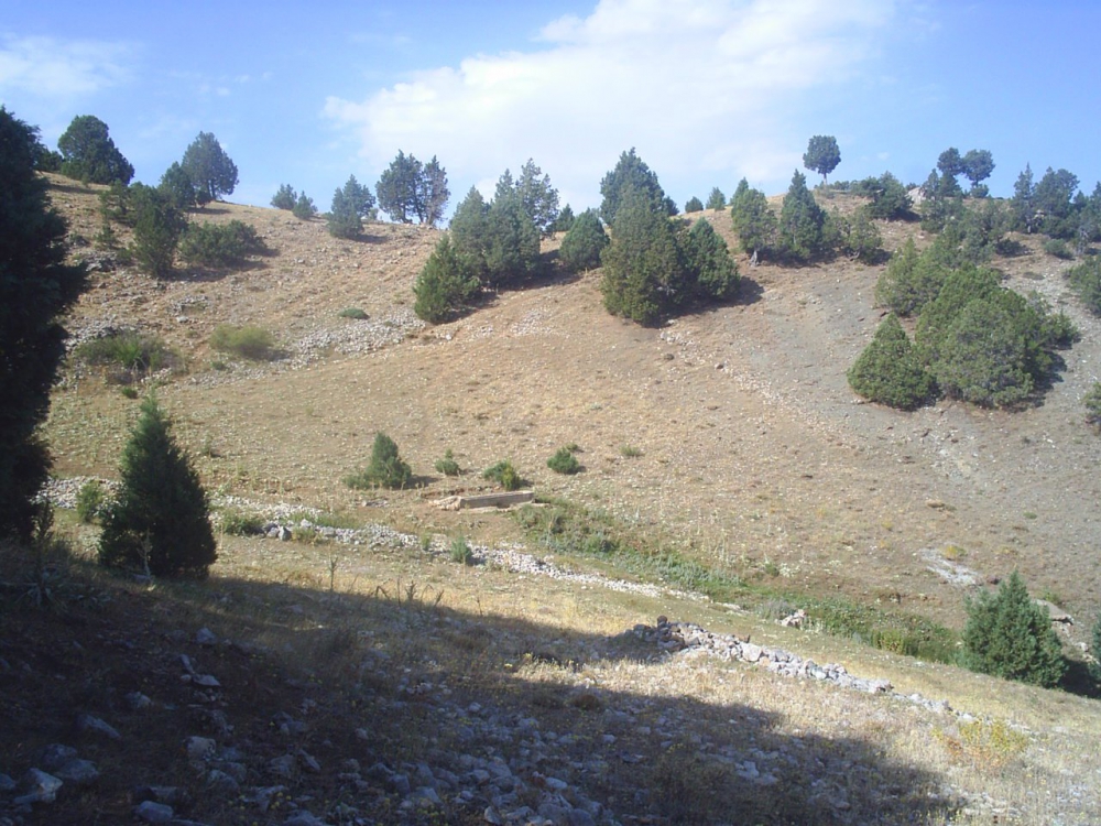 Kemah Yardere Köyü Resimleri 2