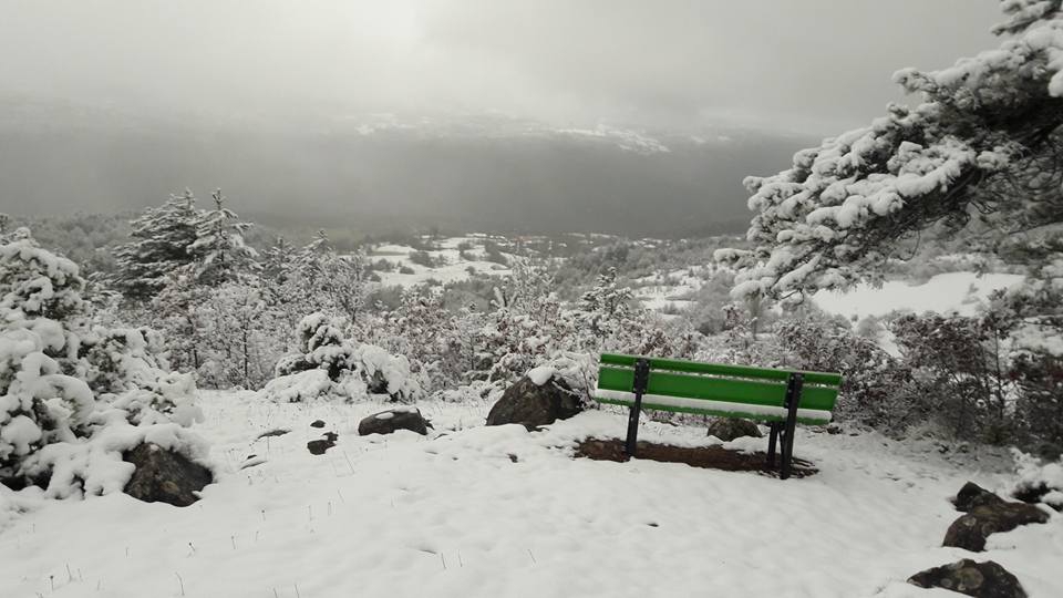 Mengen Ağacalar Köyü Resimleri 1