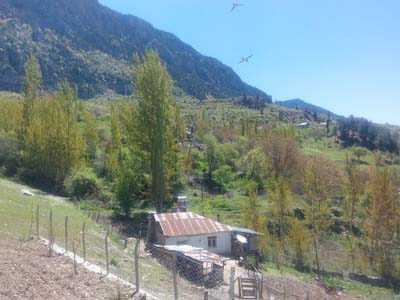 Adana Saimbeyli Cumhurlu Köyü Resimleri 16