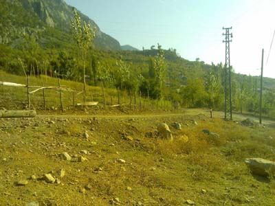 Adana Saimbeyli Cumhurlu Köyü Resimleri 31