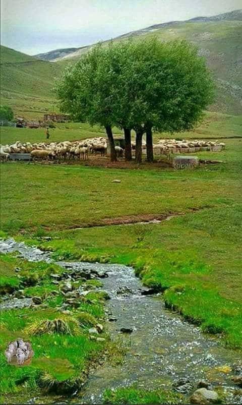 Kemah Yücebelen Köyü Resimleri 4