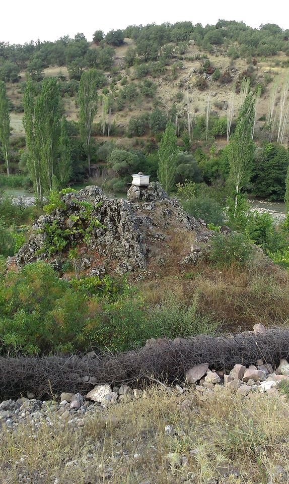 Seben Alpagut Köyü Resimleri 27