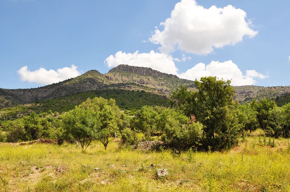 Seben Alpagut Köyü Resimleri 31