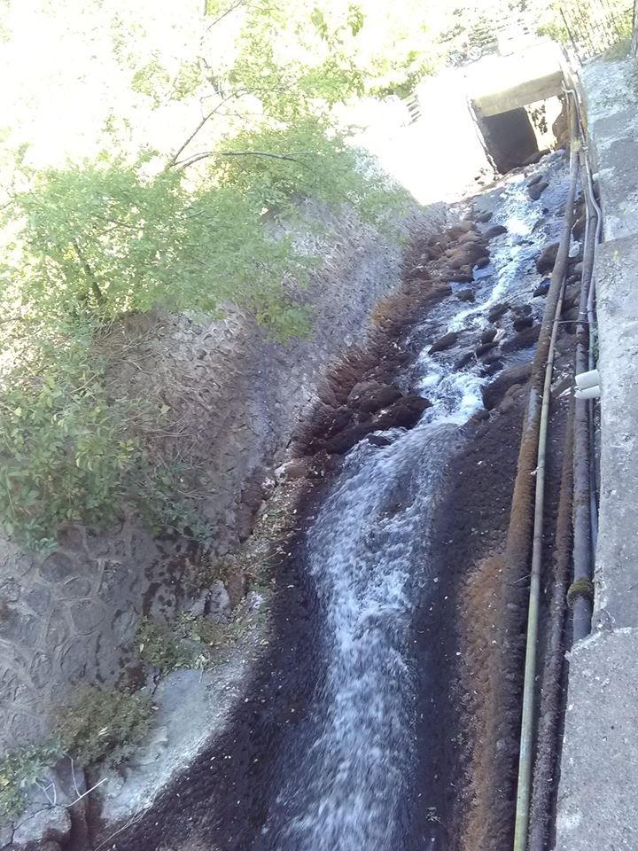 Kemaliye Adak Köyü Resimleri 7