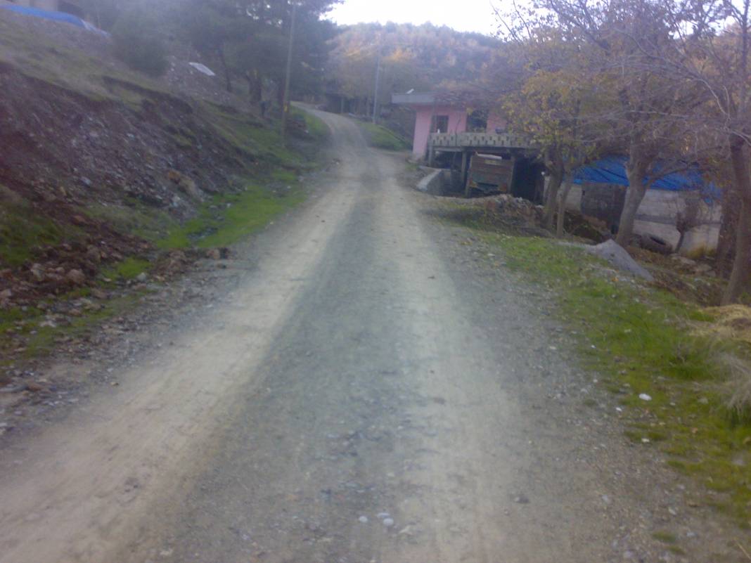 Türkoğlu Akçalı Köyü Resimleri 16