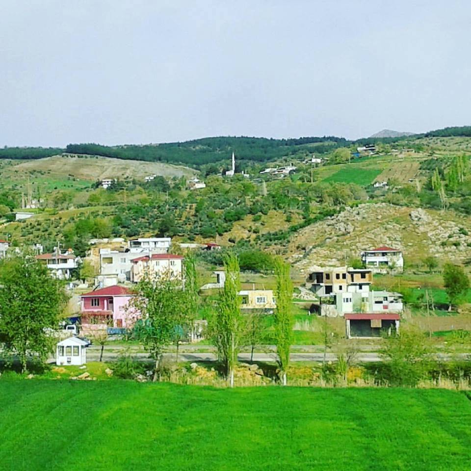 Türkoğlu Akçalı Köyü Resimleri 7