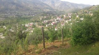 Türkoğlu Avşarlı Köyü Resimleri 3