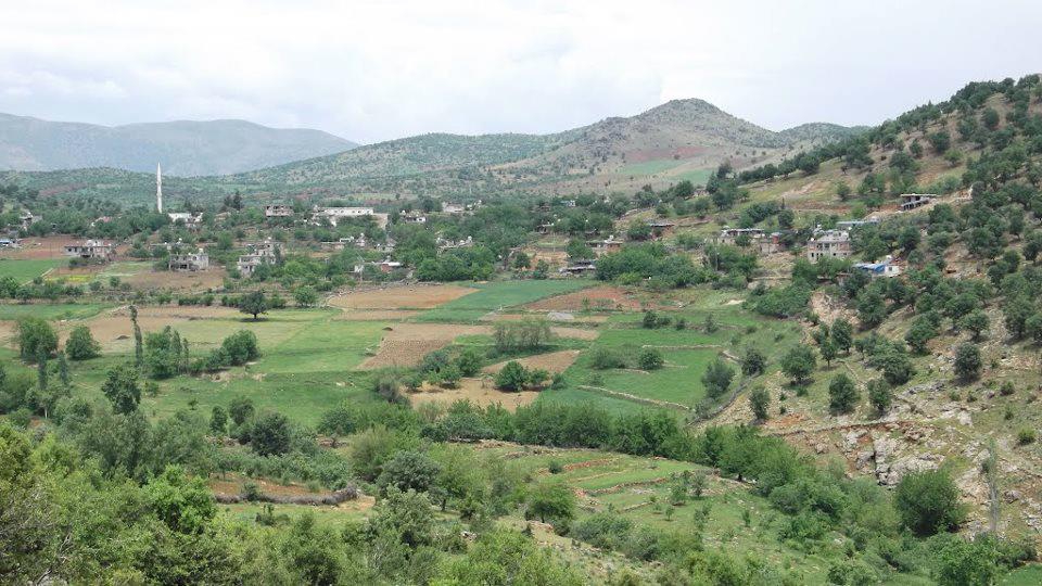 Türkoğlu Aydınkavak Köyü Resimleri 5