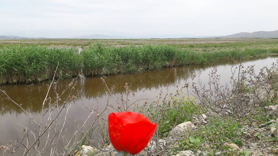 Türkoğlu Beyoğlu Köyü Resimleri 11