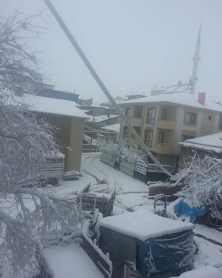 Gölova Boğazköy Resimleri 2