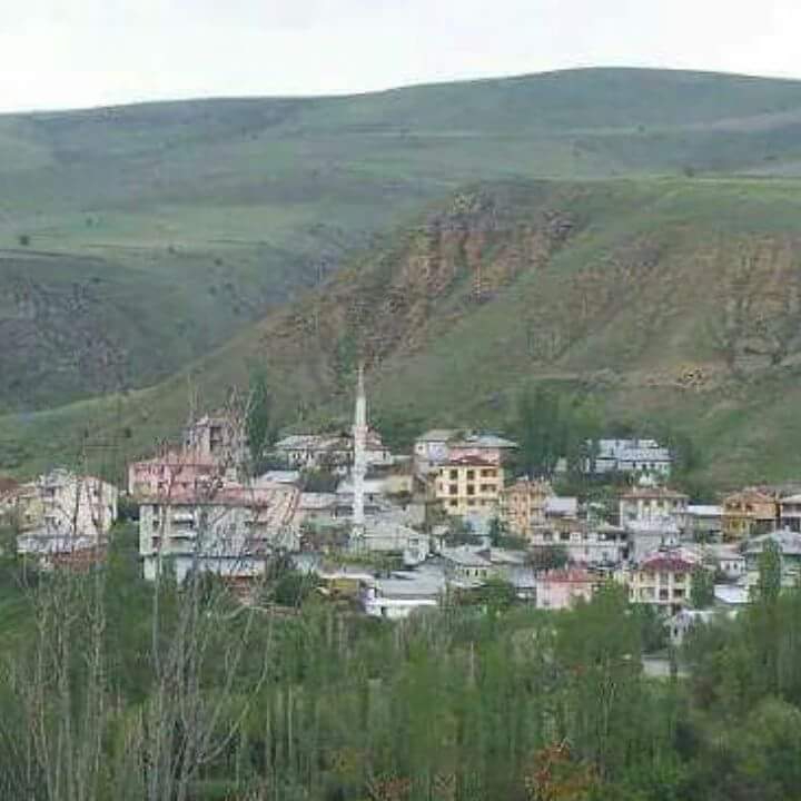 Gölova Boğazköy Resimleri 3