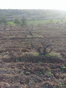 Baklan Boğaziçi Köyü Resimleri 3