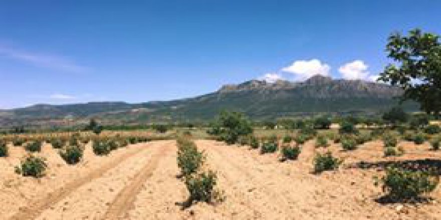 Baklan Boğaziçi Köyü Resimleri