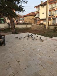 Baklan Çataloba Köyü Resimleri 6