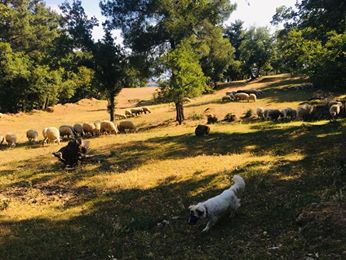 Babadağ Mollaahmetler  Köyü Resimleri 6