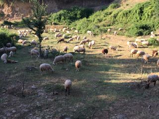 Babadağ Mollaahmetler  Köyü Resimleri 7