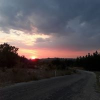 Bekilli Çoğaşlı Köyü Resimleri 8