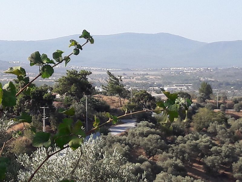 Bodrum Çömlekçi Köyü Resimleri 23