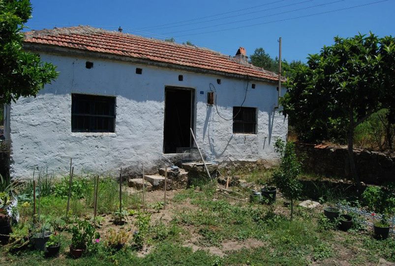 Bodrum Çömlekçi Köyü Resimleri 25