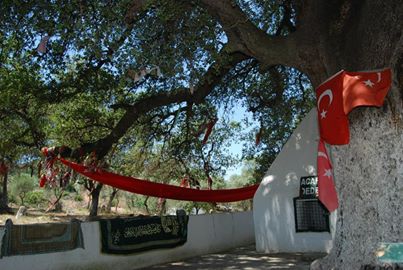 Bodrum Çömlekçi Köyü Resimleri 9