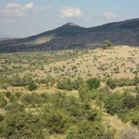 Bekilli Poyrazlı Köyü Resimleri 5