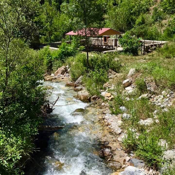 Kemaliye Armağan Köyü Resimleri 1