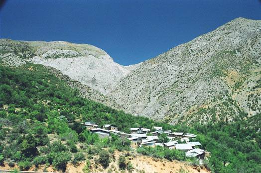 Kemaliye Armağan Köyü Resimleri 3