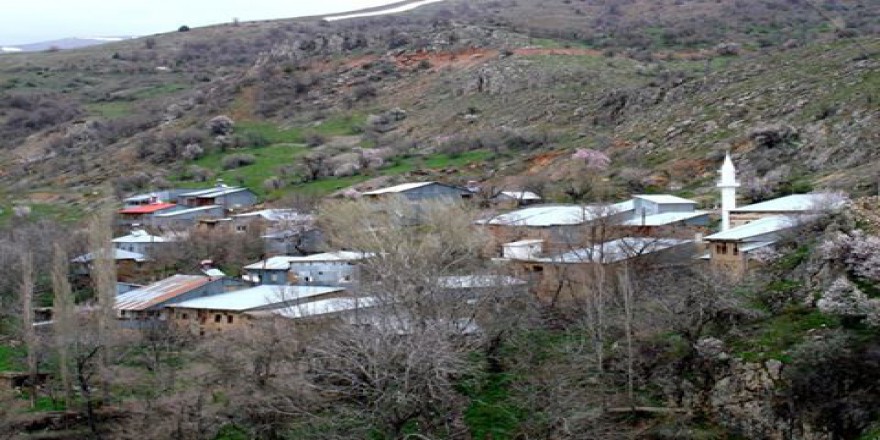 Kemaliye Arslanoba Köyü Resimleri