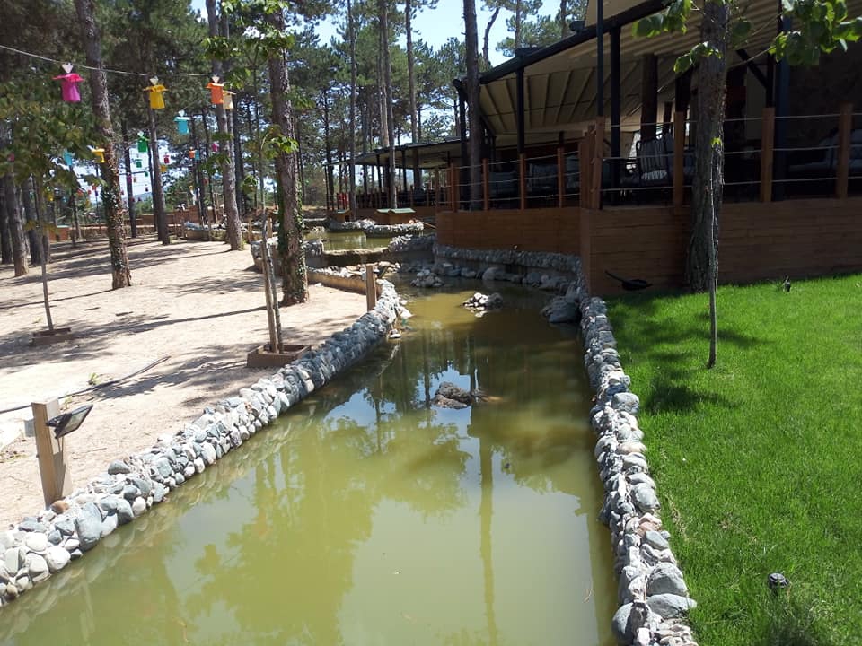 Kemaliye Avcı Köyü Resimleri 4