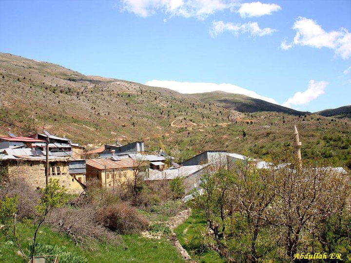 Kemaliye Başarı Köyü Resimleri 1