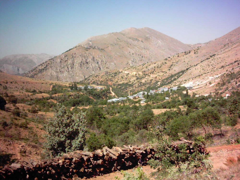 Kemaliye Başarı Köyü Resimleri 6